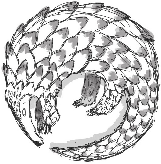 The Pangolin Post